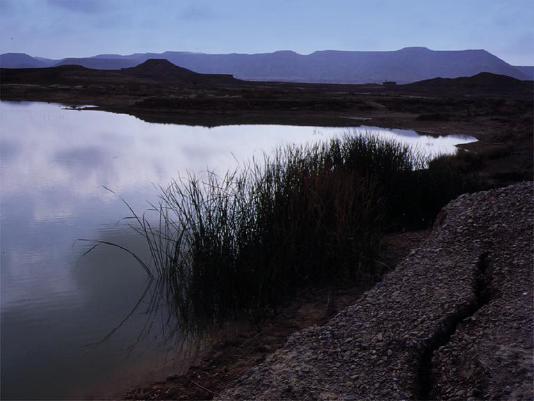 Noche en Las Bardenas.jpg